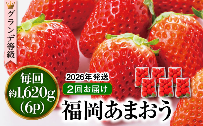【先行予約】【全2回定期便】【2026年3月初旬より順次発送】【 数量限定 】 あまおう いちご 1,620g ( 約 270g × 6パック ) 糸島市 / 株式会社HSP-テクノ [AZL006]