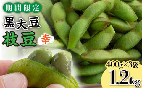 【期間限定！】黒大豆枝豆【幸】1.2kg （400g×3袋） 糸島市 / 染井野菜園 [AZM001] 枝豆 夏野菜 産地直送