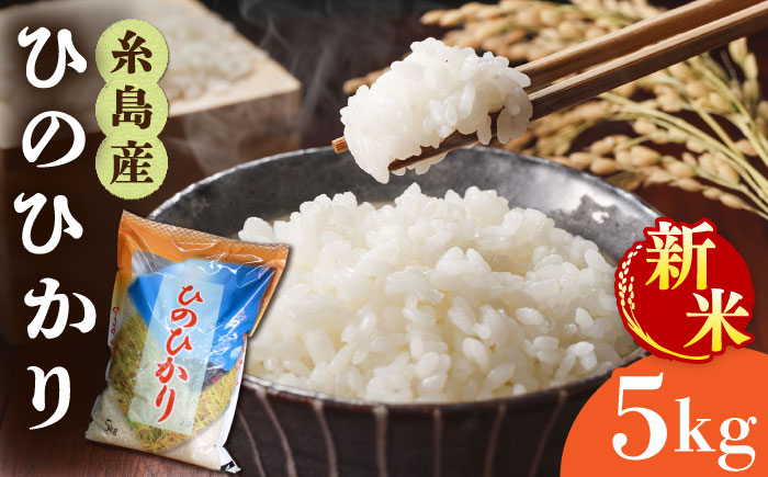 ＼ 令和6年産新米 / 糸島産 ひのひかり 5kg 糸島市 / 三島商店 米 お米 ご飯 白米 ヒノヒカリ ひのひかり 九州 福岡 [AIM003] 米 白米 米 白米 米 白米 米 白米 米 白米 米 白米 米 白米