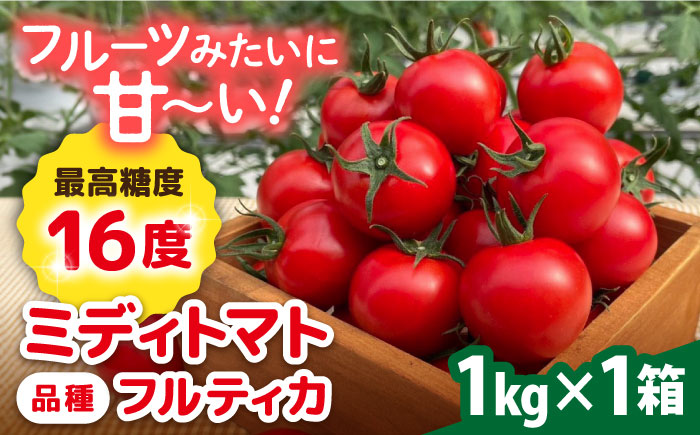 フルティカ 1kg 糸島市 / かわぞえ農園 [AAM005] トマト ミディトマト 中玉トマト とまと 野菜 やさい フルーツトマト
