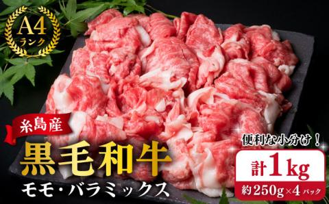 [250gの小分けパック]糸島 黒毛和牛 切り落とし 250g×4P 計1kg もも バラ ミックス A4ランク 糸島市 / 糸島ミートデリ工房 [ACA031] 牛肉 和牛 赤身