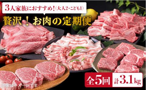 美味しさ満載!贅沢お肉の定期便全5回(月1回) 3人家族用 糸島ミートデリ工房 