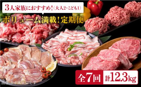 [定期便]家族でたっぷり!ボリューム満載 糸島お肉セット 定期便 全7回 (月1回) 3人用 糸島市 / 糸島ミートデリ工房 [ACA086] 肉セット 精肉セット 肉定期便 定期便肉 定期便おすすめ 定期便月1回