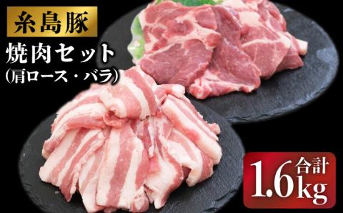 糸島豚の焼肉セット1.6kg(肩ロース800g/バラ800g)糸島市 / JA糸島産直市場 伊都菜彩 