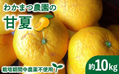 [先行予約][有機栽培]甘夏 10kg[2025年4月中旬以降順次発送]糸島市 / わかまつ農園 