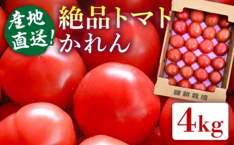 [先行予約]糸島産 絶品トマト かれん (4kg28玉前後) 糸島市 / シーブ 大玉トマト 野菜 とまと 