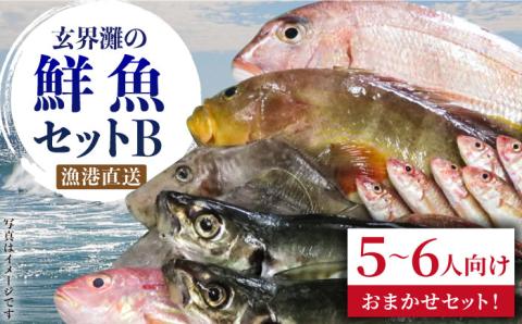 福吉漁港直送!玄界灘鮮魚セットB (5,6人向け) 糸島 [福ふくの里] 