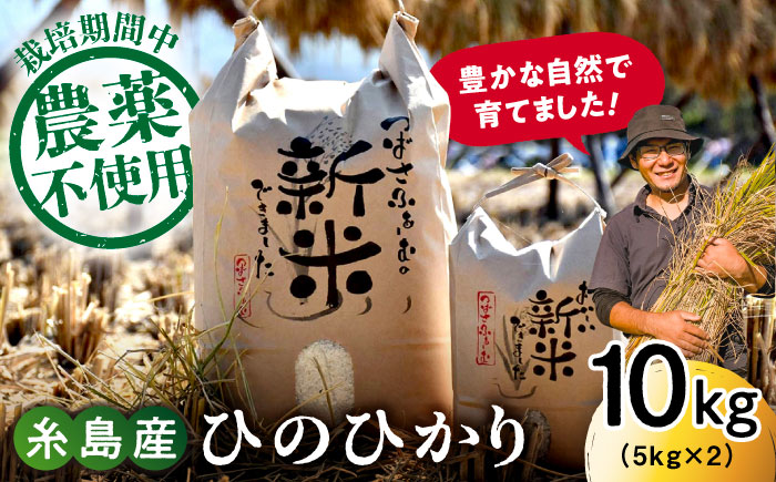 [令和6年産新米]糸島産 雷山 のふもと 栽培期間中 農薬不使用 の 米 10kg(5kg×2)ひのひかり [2024年10月下旬以降順次発送]糸島市 / ツバサファーム[ANI002] ヒノヒカリ 白米 玄米