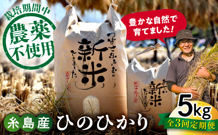 [全3回定期便] 糸島産 雷山のふもとの米 農薬不使用 5kg 糸島市 / ツバサファーム [ANI003] 白米 玄米