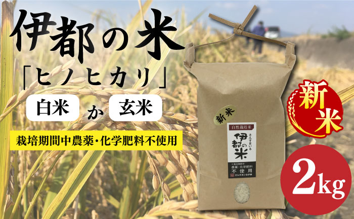 [令和6年産新米]伊都の米 ( ヒノヒカリ ) 2kg 糸島市 / 伊都福祉サービス協会 [APL001] 米 白米 玄米