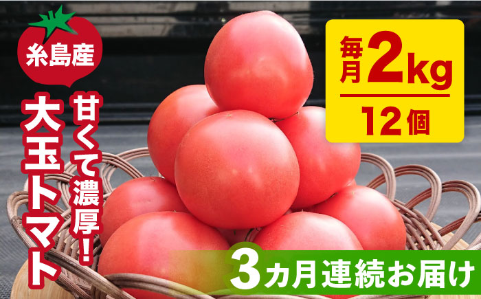 [2024年3月以降順次発送][全3回定期便][甘くて濃厚]大玉 トマト 2kg 糸島市 / 大櫛トマトファーム 