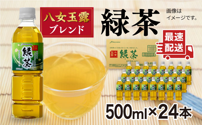 ＼1週間以内に発送/八女 玉露入り 緑茶 500ml × 24本 糸島市 / スターナイン お茶 ペットボトル [ARM004] ソフトドリンク おちゃ まとめ買い 箱買い すぐ届く