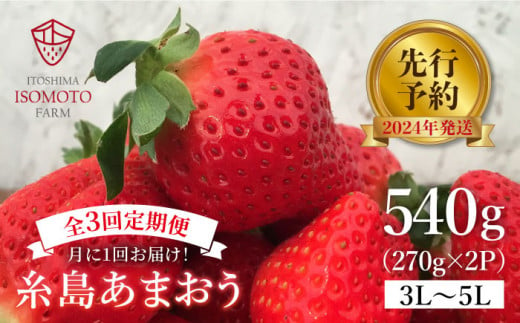 [月1回・全3回定期便] 糸島 あまおう 270g×2パック[先行予約*2024年1月〜3月にて順次発送](A品B品含む3L〜5L)糸島市 / 磯本農園 / TANNAL 