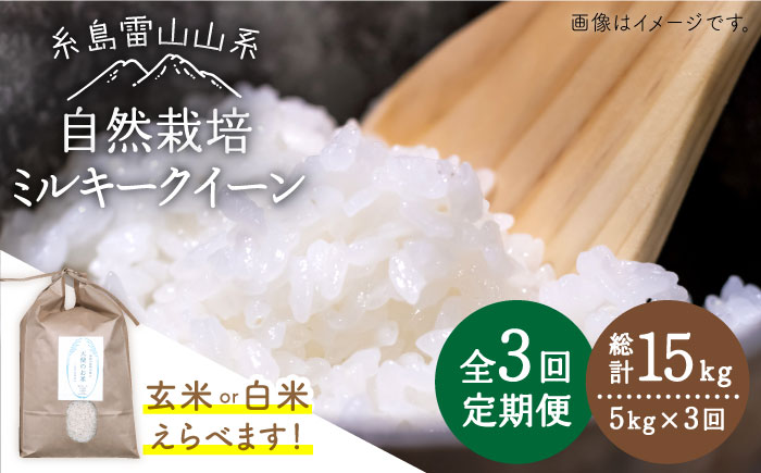 [全3回定期便]糸島産 ミルキークイーン 5kg 自然栽培 ≪糸島≫[大石ファーム] 