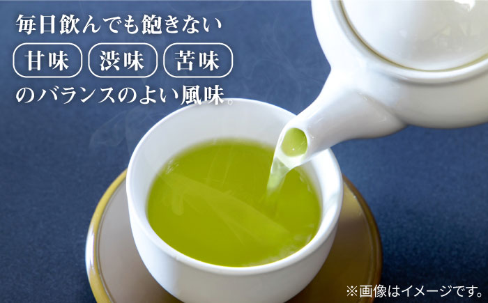 【全6回定期便】八女茶10袋（1kg）セット＜お茶の星陽園 ＞那珂川市 飲料 お茶 茶 [GAD009]