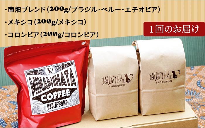 【全12回定期便】申込後に自家焙煎！特選 ブレンド コーヒー 3種セット【豆】計600g ＜自家焙煎珈琲 猫屋カフェ＞那珂川市 飲み物 コーヒー 珈琲 コーヒー豆 [GAG012]