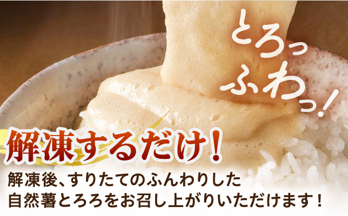 【年内発送】【味付け不要！本格「自然薯」麦とろ】自然薯 麦とろ セット（4人前）＜自然薯王国＞那珂川市 [GAH002]