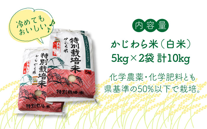 【9月中旬から発送】特別栽培米 かじわら米 新米 白米 米 計10kg（5kg×2）＜農事組合法人かじわら＞那珂川市 [GAI001]
