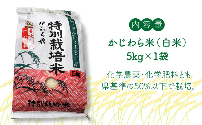 【9月中旬から発送】特別栽培米 かじわら米 新米 白米 米 5kg＜農事組合法人かじわら＞那珂川市 [GAI002]