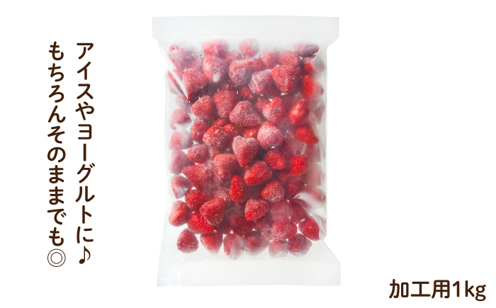 【凍っても濃厚！】冷凍 いちご 博多 あまおう 1kg＜やまや＞那珂川市 [GAK019]