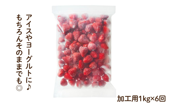 【全6回定期便】濃厚 冷凍 いちご 博多 あまおう 1kg（加工用）＜やまや＞ 那珂川市 [GAK038]
