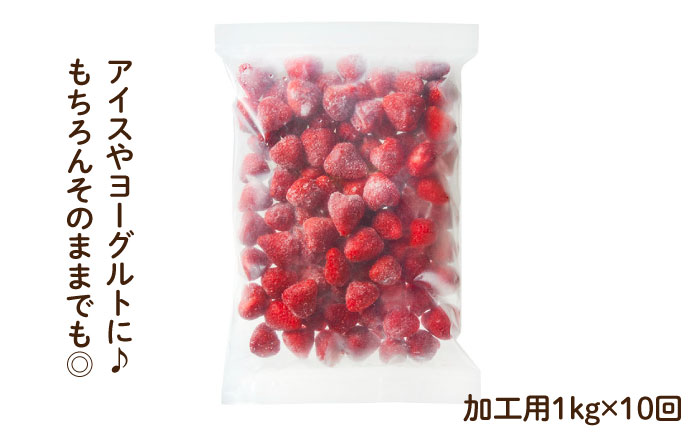 【全10回定期便】濃厚 冷凍 いちご 博多 あまおう 1kg（加工用）＜やまや＞ 那珂川市 [GAK039]