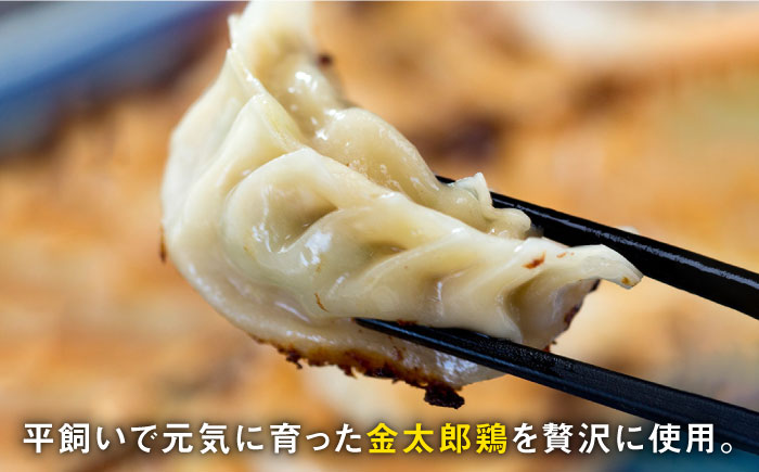 【全6回定期便】平飼いで育った元気な鶏！ 金太郎鶏 ぎょうざ（25個×5袋セット）＜有限会社 フジノ香花園＞那珂川市 [GAM015]