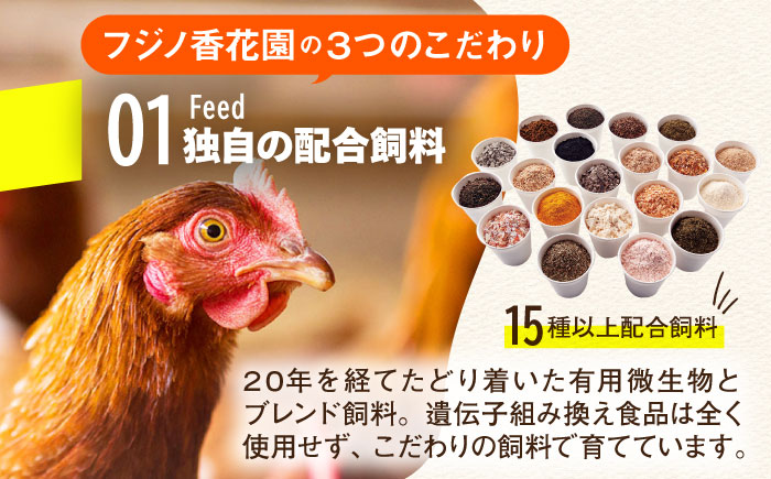 【3回定期便】【TVで紹介！】【鮮度ＡＡ級の世界最高ランク！】金太郎卵 平飼い たまご 24個（6個×4パック）＜有限会社フジノ香花園＞那珂川市 [GAM033]