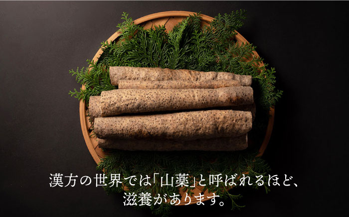 【選び抜いた「粘り」と「香り」】先行予約！自然薯「九千部朱薯」600g～650g（2本）＜株式会社九千部＞那珂川市 野菜 自然薯 [GAZ001]