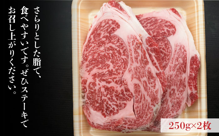 博多和牛 牛肉 リブロース ステーキ 500g（250g×2） ＜肉のくまもと屋＞那珂川市 [GBI003]