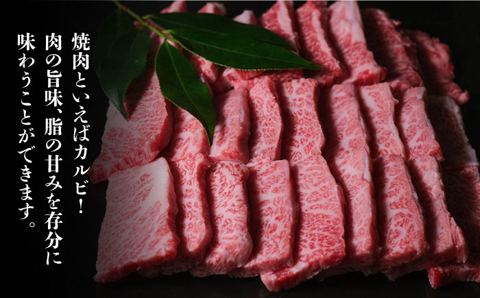 博多和牛 牛肉 焼肉 バラ （カルビ） 500g ＜肉のくまもと屋＞ 那珂川市 [GBI012]