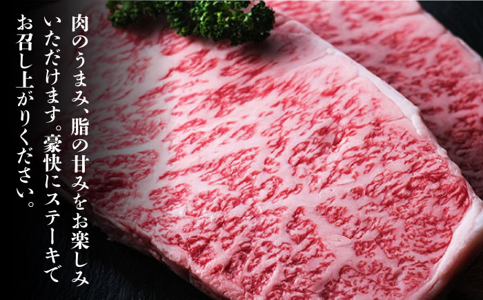 【全6回定期便】大満足！ 博多和牛 牛肉 サーロイン ステーキ 500g（250g×2）＜肉のくまもと屋＞ 那珂川市 [GBI034]