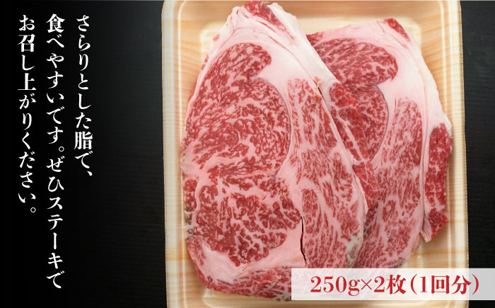 【全12回定期便】肉の旨味を堪能！ 博多和牛 牛肉 リブロース ステーキ 500g（250g×2） ＜肉のくまもと屋＞ 那珂川市 [GBI038]