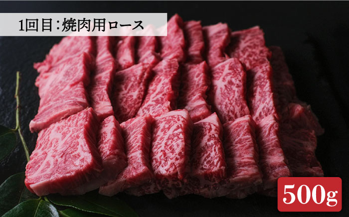 【全3回定期便】博多和牛 牛肉 焼肉 BBQ 定期便＜肉のくまもと屋＞那珂川市 [GBI047]