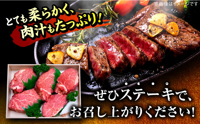 【希少部位！】博多和牛 ヒレ ステーキ 150g×5枚 （計750g） ＜肉のくまもと屋＞那珂川市 ヒレステーキ 肉 牛肉 国産 和牛 希少部位 ヒレ ヒレ肉 赤身肉 フィレ [GBI049]