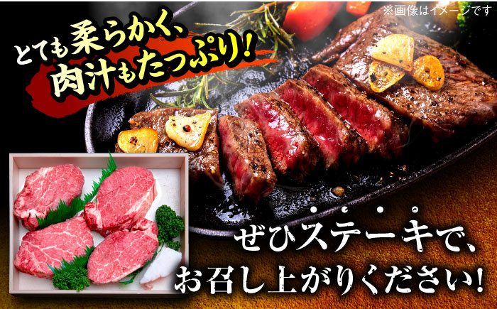 【希少部位！】博多和牛 ヒレ ステーキ 200g×4枚（計800g） ＜肉のくまもと屋＞那珂川市 ヒレステーキ 肉 牛肉 国産 和牛 希少部位 ヒレ ヒレ肉 赤身肉 フィレ [GBI050]
