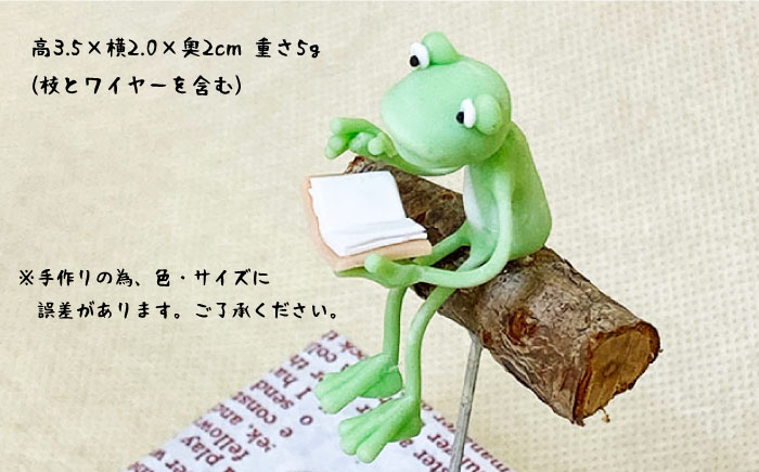 【暮らしにお花を】読書を楽しむケロニス＜フラワーデザイン・アドニス＞那珂川市 雑貨 インテリア [GBN006]