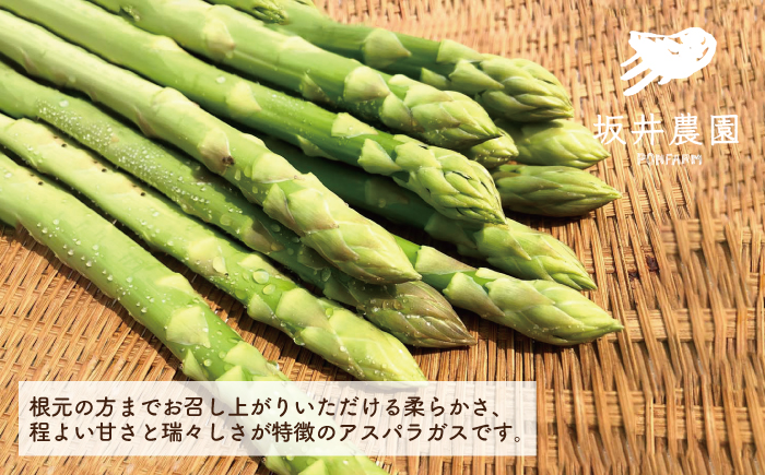 TVでも紹介！サイズが豊富で食卓楽しい！ アスパラガス 1kg＜坂井農園＞那珂川市 野菜 [GBP001]