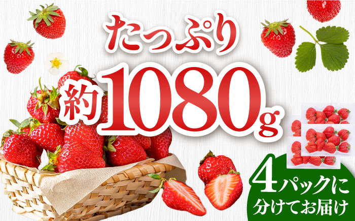 【3月以降順次発送】先行予約！福岡県産あまおう 約270g×4パック 那珂川市 [GBR001]