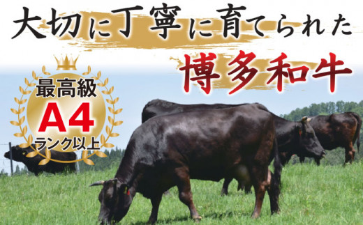 【全6回定期便】【溢れる肉汁と濃厚な旨味】博多和牛 サーロイン 1kg（250g×4枚）＜株式会社MEAT PLUS＞那珂川市 肉 牛肉 黒毛和牛 [GBW038]