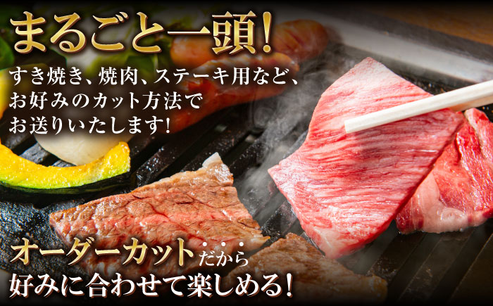 【一頭丸ごとオーダー！】 博多和牛 一頭食べ尽くしセット＜株式会社MEAT PLUS＞那珂川市 肉 牛肉 黒毛和牛 [GBW138]