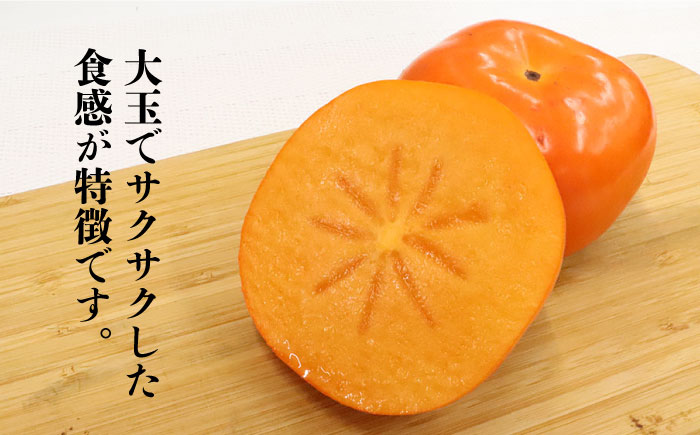 【2026年10月以降発送】福岡より直送！ 種がほとんどない新ブランド 柿 秋王 約1.5kg＜一般社団法人地域商社ふるさぽ＞那珂川市 [GBX008]