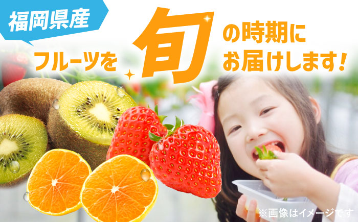 【全3回定期便】九州・福岡もぎたて フルーツ定期便 A＜一般社団法人地域商社ふるさぽ＞那珂川市 フルーツセット [GBX014]