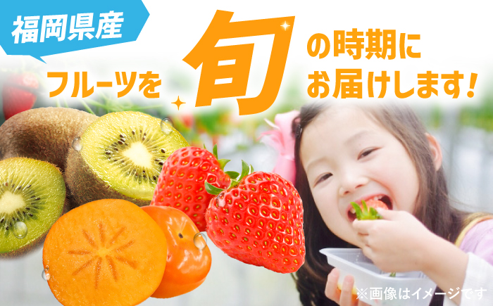 【全3回定期便】九州・福岡もぎたて フルーツ定期便 B＜一般社団法人地域商社ふるさぽ＞那珂川市 フルーツセット [GBX022]