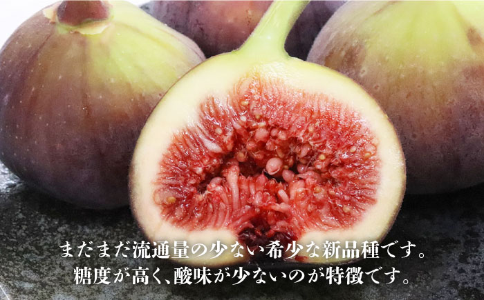 【2026年9月以降発送】福岡県オリジナル品種  とよみつひめ 約1.2kg＜一般社団法人地域商社ふるさぽ＞那珂川市 [GBX026]