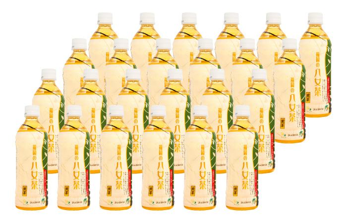 福岡の八女茶 煎茶 500ml×24本入り＜一般社団法人地域商社ふるさぽ＞那珂川市 飲料 お茶 茶 [GBX033]