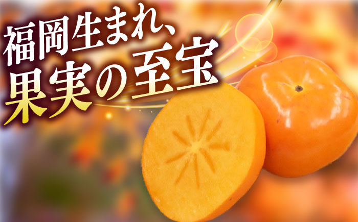 【2026年10月以降発送】福岡より直送！ 種がほとんどない新ブランド 柿 秋王 3玉＜一般社団法人地域商社ふるさぽ＞那珂川市 [GBX052]