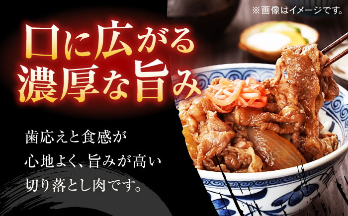 博多和牛　切り落とし　約１．２ｋｇ（６００ｇ×２）＜一般社団法人地域商社ふるさぽ＞ 那珂川市 [GBX068]