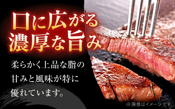 博多和牛　サーロインステーキ　定期便全5回＜一般社団法人地域商社ふるさぽ＞ 那珂川市 [GBX168]