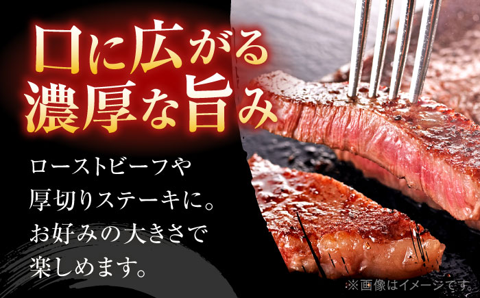 博多和牛　サーロインブロック　定期便全12回＜一般社団法人地域商社ふるさぽ＞ 那珂川市 [GBX174]